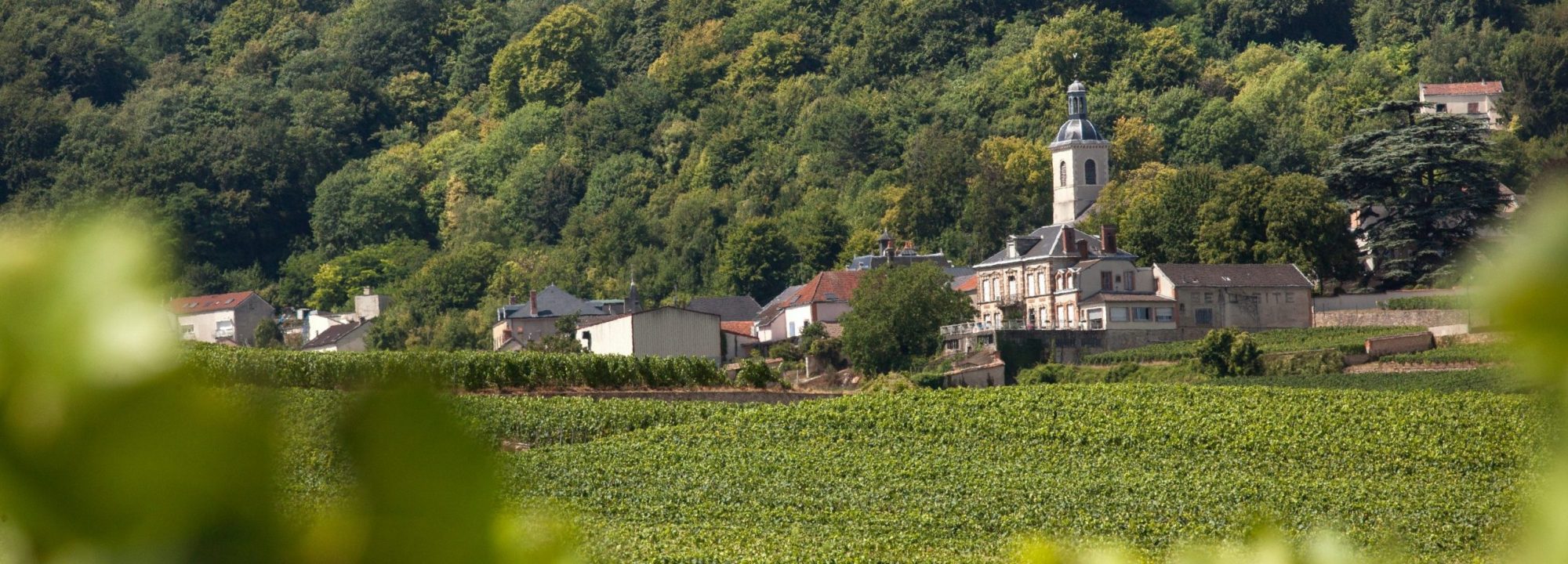 Notre Histoire - Respect de notre Terroir historique <br />
et quête des Champagnes d’exception