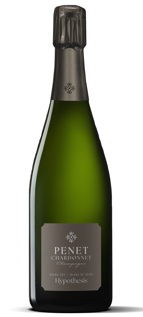 Hypothesis Blanc de Noirs